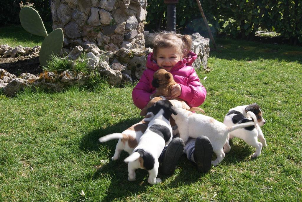 Agriturismo Sentiero Dei Sapori ξενώνας Agerola Εξωτερικό φωτογραφία
